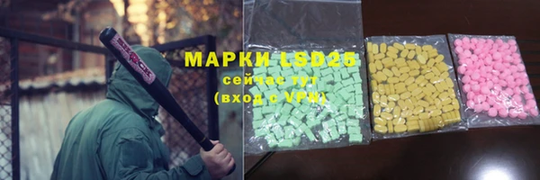 СК Новозыбков