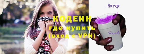 хмурый Няндома