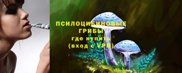 молекула духа Нягань