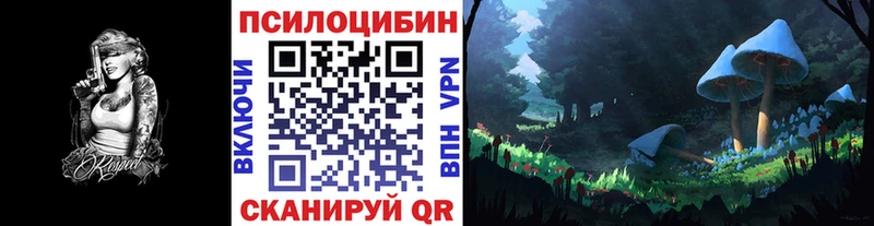 дарк нет Telegram  Тихорецк  Галлюциногенные грибы GOLDEN TEACHER 