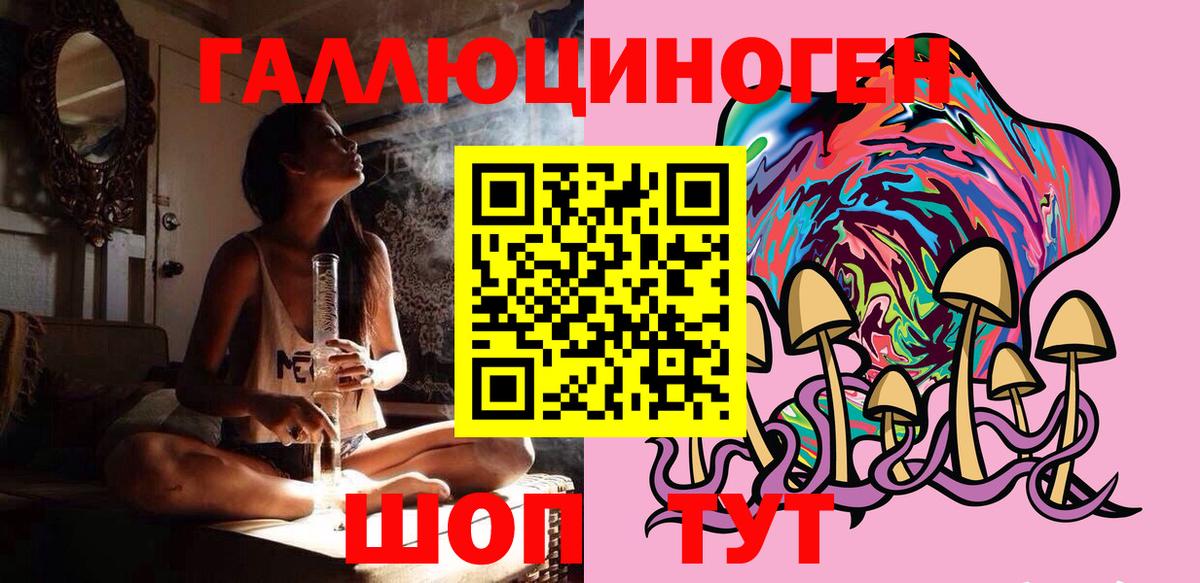 Тихорецк  Галлюциногенные грибы Psilocybine cubensis  Вход с VPN 